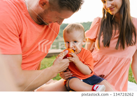 Father Feeding Toddler During Picnic 134728262