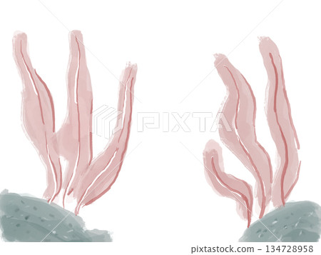 紅海藻的插圖 134728958