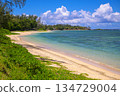 St. Felix Public Beach in Southern Mauritius 134729004