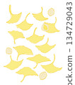 Illustration of ginkgo leaves and ginkgo nuts 134729043