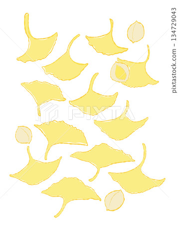 Illustration of ginkgo leaves and ginkgo nuts Illustration of ginkgo leaves and ginkgo nuts 134729043
