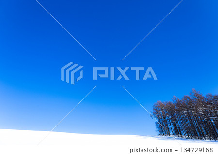 Winter blue sky and simple scenery of Biei, Hokkaido Winter blue sky and simple scenery of Biei, Hokkaido 134729168