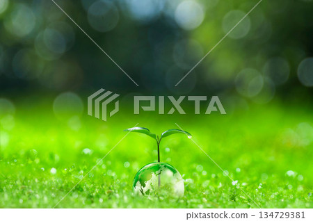 Earth and new leaves, new leaves, ecology Earth and new leaves, new leaves, ecology 134729381