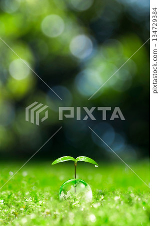 Earth and new leaves, new leaves, ecology Earth and new leaves, new leaves, ecology 134729384