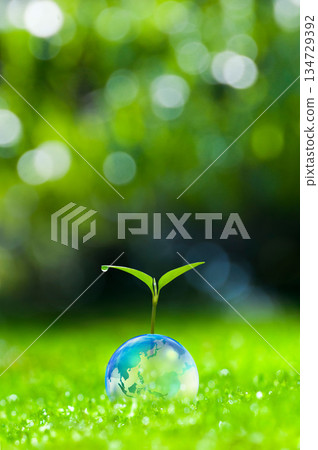 Earth and new leaves, new leaves, ecology Earth and new leaves, new leaves, ecology 134729392