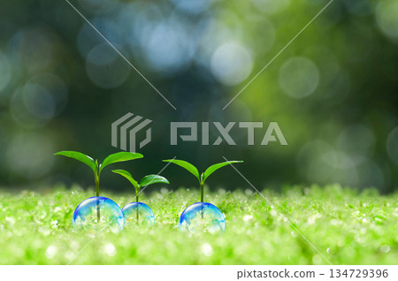 Earth and new leaves, new leaves, ecology Earth and new leaves, new leaves, ecology 134729396