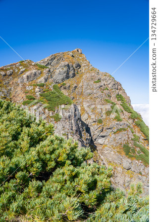 從白馬禦池浮雕(紀念碑)上眺望白馬嶽山頂峰,位於北阿爾卑斯山脈 從白馬禦池浮雕(紀念碑)上眺望白馬嶽山頂峰,位於北阿爾卑斯山脈 134729664