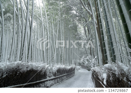 嵯峨野雪竹林道 134729867