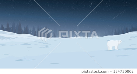 Winter landscape at night with lonely Polar bear covered by white snow have silhouette pine forest and starry sky background graphic illustration. Winter landscape at night with lonely Polar bear covered by white snow have silhouette pine forest and starry sky background graphic illustration. 134730002
