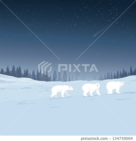 Winter landscape at night with Polar bear family covered by white snow have silhouette pine forest and starry sky square background graphic illustration. 134730004