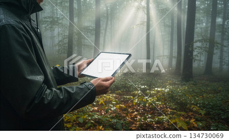 Tablet with a white screen held in a misty forest after rain 134730069