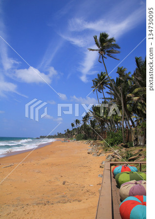 Coco palms at a sand beach between Bossa and Galle, Sri Lanka. Coco palms at a sand beach between Bossa and Galle, Sri Lanka. 134730095