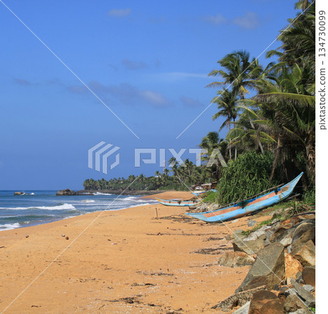 Paradise like beach near Galle, Sri Lanka. 134730099