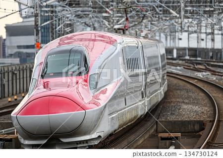 Tohoku Akita Shinkansen E6 series trains are busy with people returning home 134730124