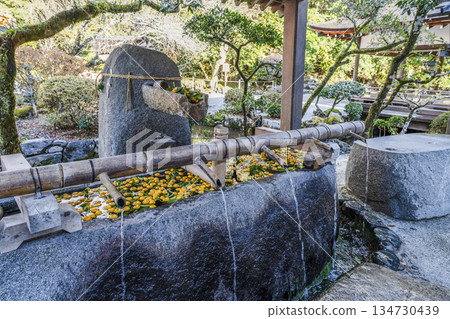 冬天的加茂和計土神社（上賀茂神社） 134730439