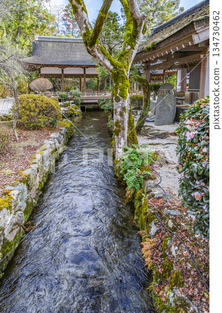 Hashidono of Kamo Wakeikazuchi Shrine (Kamigamo Shrine) in winter 134730462