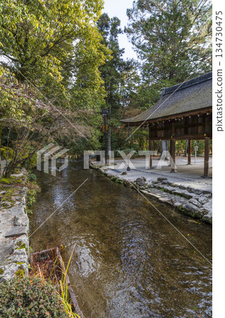 冬季的賀茂分雷神社(上賀茂神社),橡樹溪 冬季的賀茂分雷神社(上賀茂神社),橡樹溪 134730475
