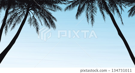 Silhouette palm trees with blue sky background graphic illustration have blank space. 134731011