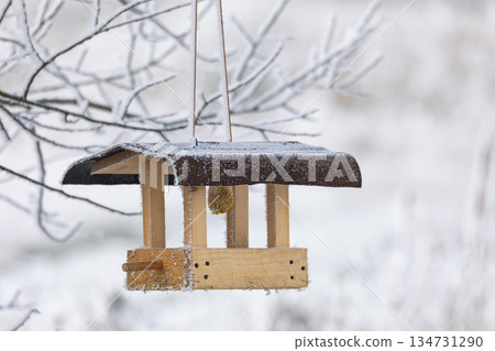 Winter scene featuring a bird feeder, South Moravia, Czech Republic. 134731290