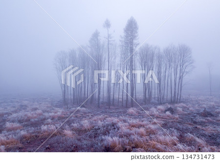Misty Highland Scene in Highland, Vysocina, Czech Republic. 134731473
