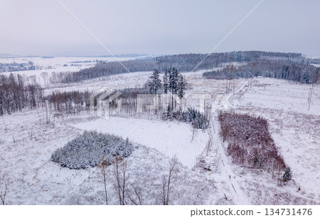 Winter Landscape in Czechia: Aerial View of Snowy Fields and Forests in Highlands Winter Landscape in Czechia: Aerial View of Snowy Fields and Forests in Highlands 134731476