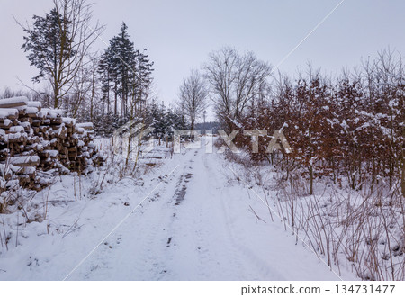 Snowy Forest Road in Winter in Highland, Vysocina, Czech Republic 134731477