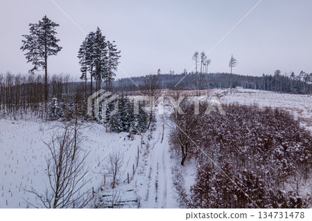 Winter landscape in snow-covered countryside in Czechia 134731478