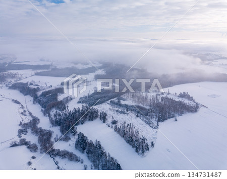 Aerial view of winter landscape covered in snow and cloud, Highland, Vysocina, Czech Republic 134731487