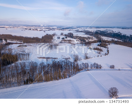 Aerial view of snow-covered fields with trees in Highland, Vysocina, Czech Republic Aerial view of snow-covered fields with trees in Highland, Vysocina, Czech Republic 134731493