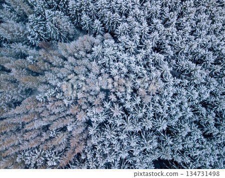 Aerial View of Snow-Covered Highland Forest in Czech Republic Aerial View of Snow-Covered Highland Forest in Czech Republic 134731498