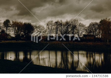 Dramatic dark autumn landscape with bare trees and cloudy sky reflecting in calm lake water. Moody nature background for fall season, overcast weather 134731586