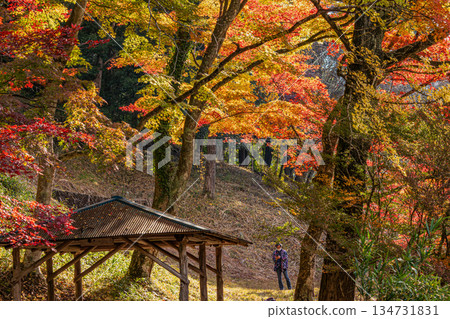 豐田市（愛知縣）大井平公園的景色 134731831