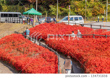 豐田市(愛知縣)大井平公園的景色 豐田市(愛知縣)大井平公園的景色 134731838