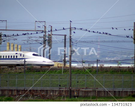 The Shinkansen is going 134731923