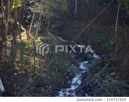河在森林裡 134731926