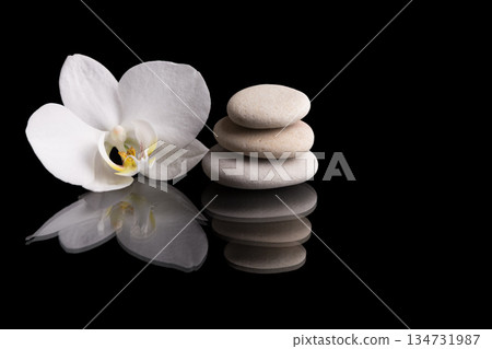 Orchid blossom near zen stone pile on black reflective surface. Orchid blossom near zen stone pile on black reflective surface. 134731987