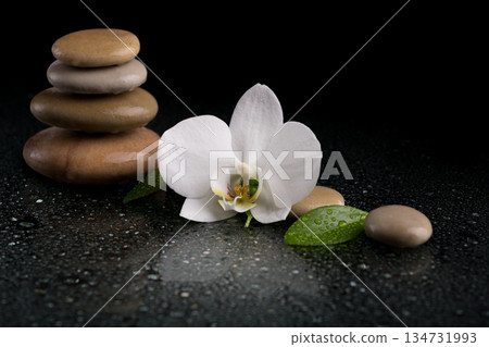 Zen Stones and Orchid on Wet Black Surface 134731993