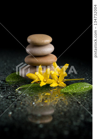 Zen stones stacked with yellow flowers and fresh leaves 134732004