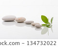Spa Stones and Fresh Green Leaves on Reflective Surface 134732022