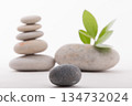 Balanced Stones and Green Leaves: Serene Stack, New Growth 134732024
