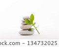 Stacked stones with fresh sprout on white background 134732025