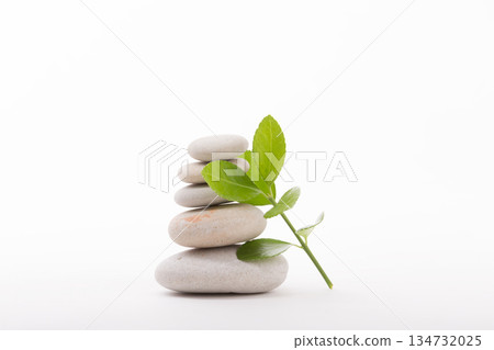Stacked stones with fresh sprout on white background Stacked stones with fresh sprout on white background 134732025