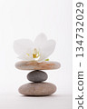 Zen Balance Orchid Blossom on Stacked Stones 134732029