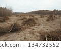 Illegal logging within Kyiv city limits to build commercial properties. 2021, Ukraine 134732552