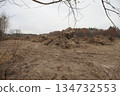 Illegal logging within Kyiv city limits to build commercial properties. 2021, Ukraine 134732553