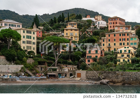 Hillside Houses on Rocky Coastline in Camogli, Italian Riviera 134732828