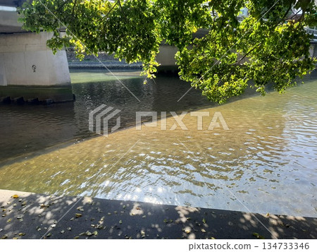 美麗的河面風光 134733346