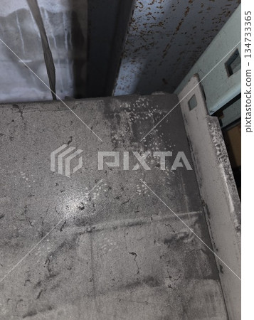 Footprints of rats Footprints of rats 134733365