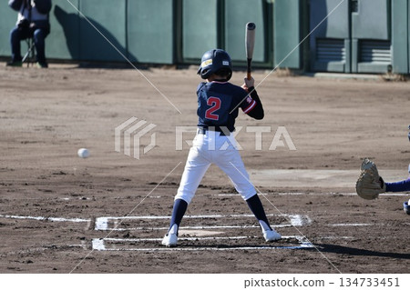 Nice batting 134733451