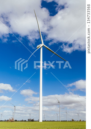 Murra Warra Wind Farm in Australia Murra Warra Wind Farm in Australia 134733568